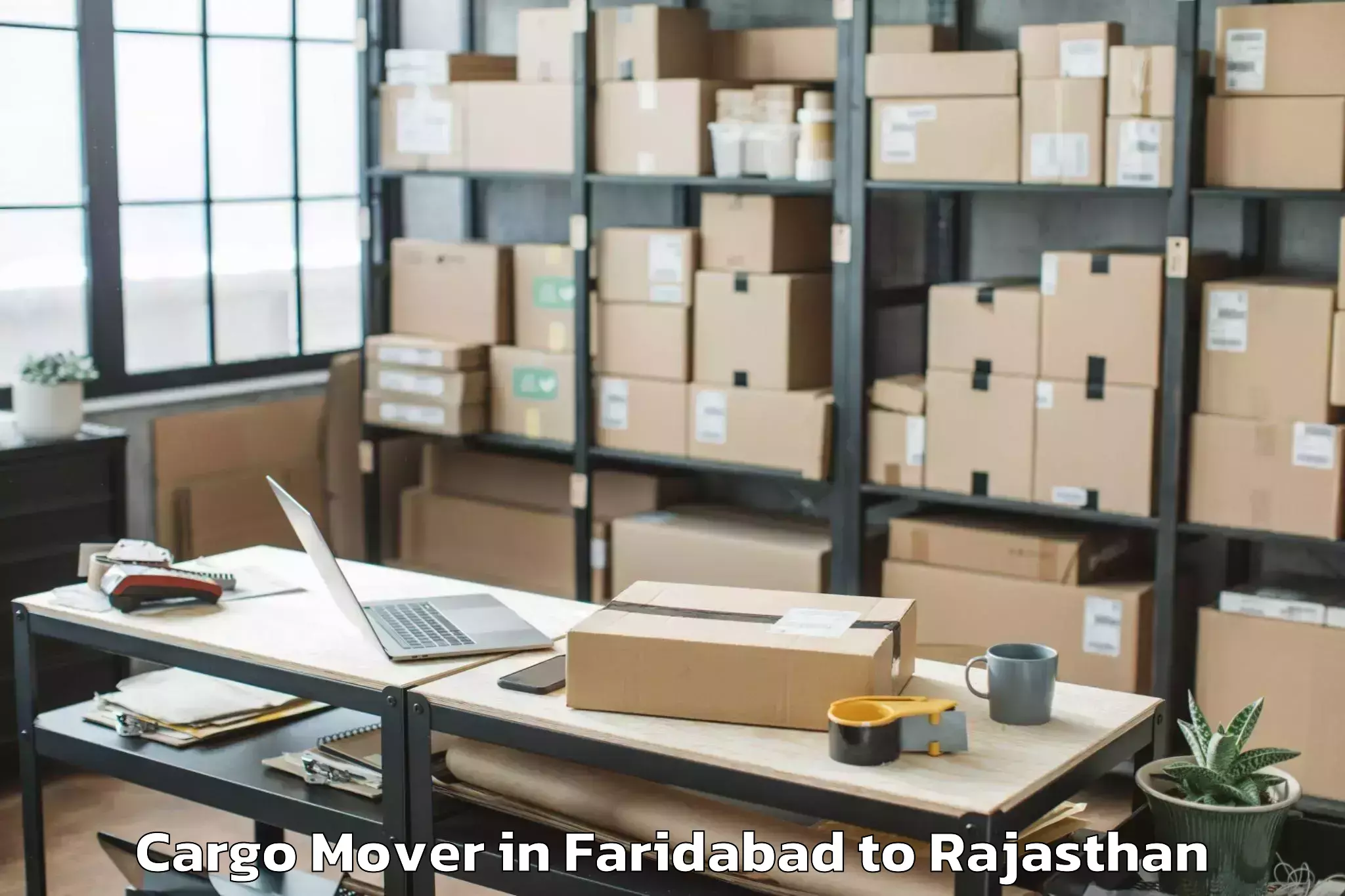 Get Faridabad to Mewar University Chittorgarh Cargo Mover